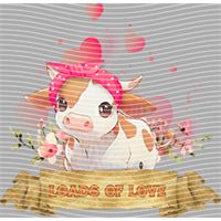 Valentine's Day-QRJ  4182